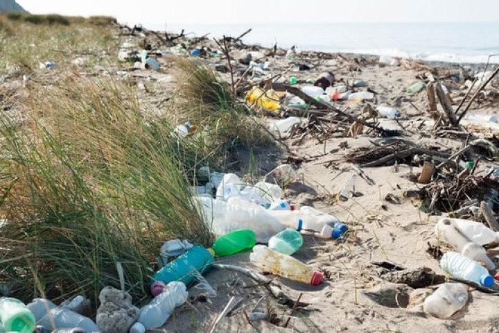 UK Considers Tax on Single-Use Plastics to Tackle Ocean Pollution
